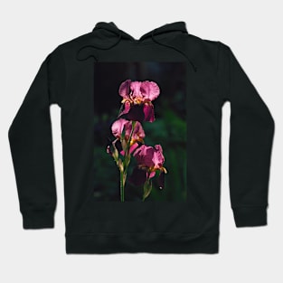 Irises Hoodie